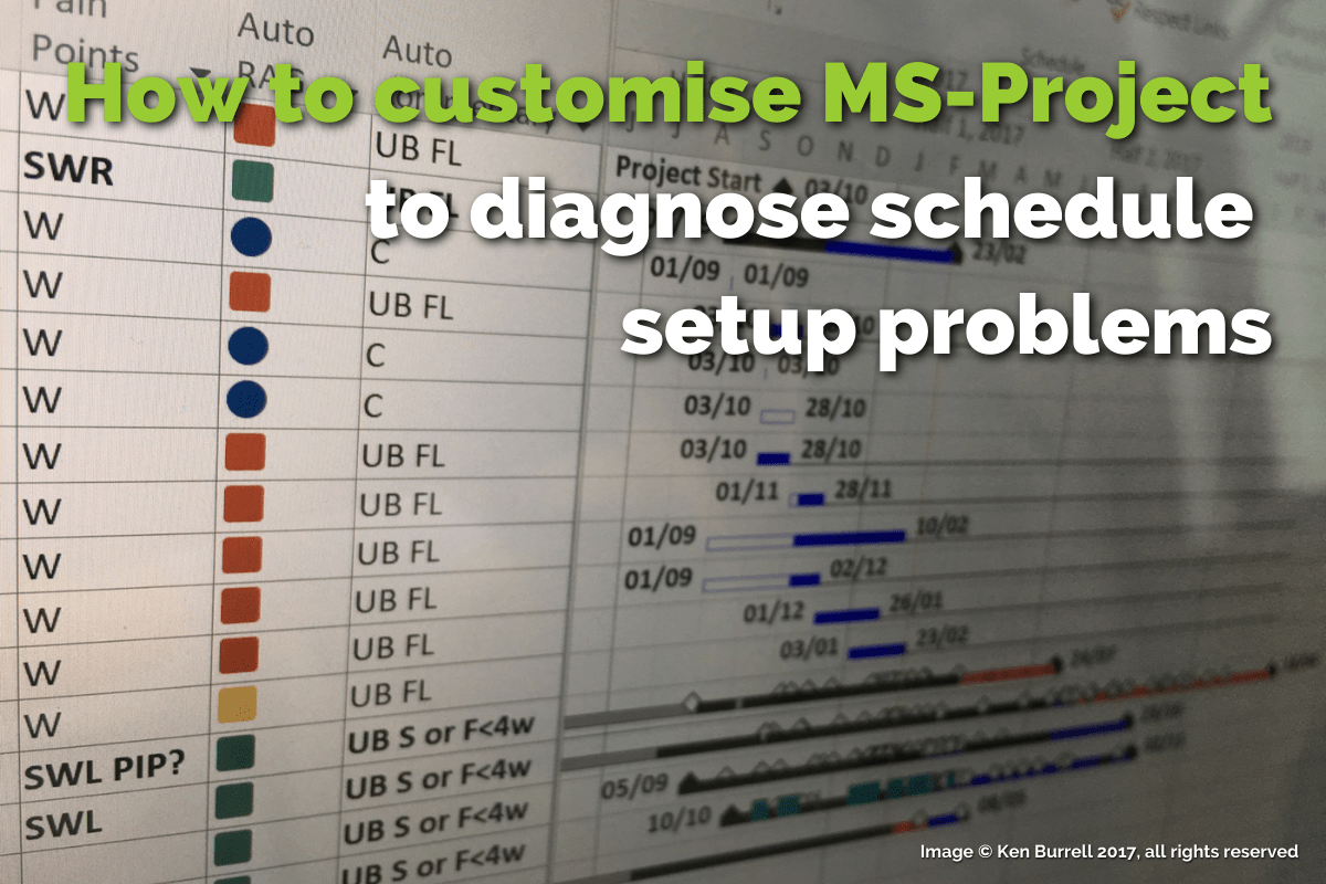 How to customise MS-Project to diagnose schedule setup problems