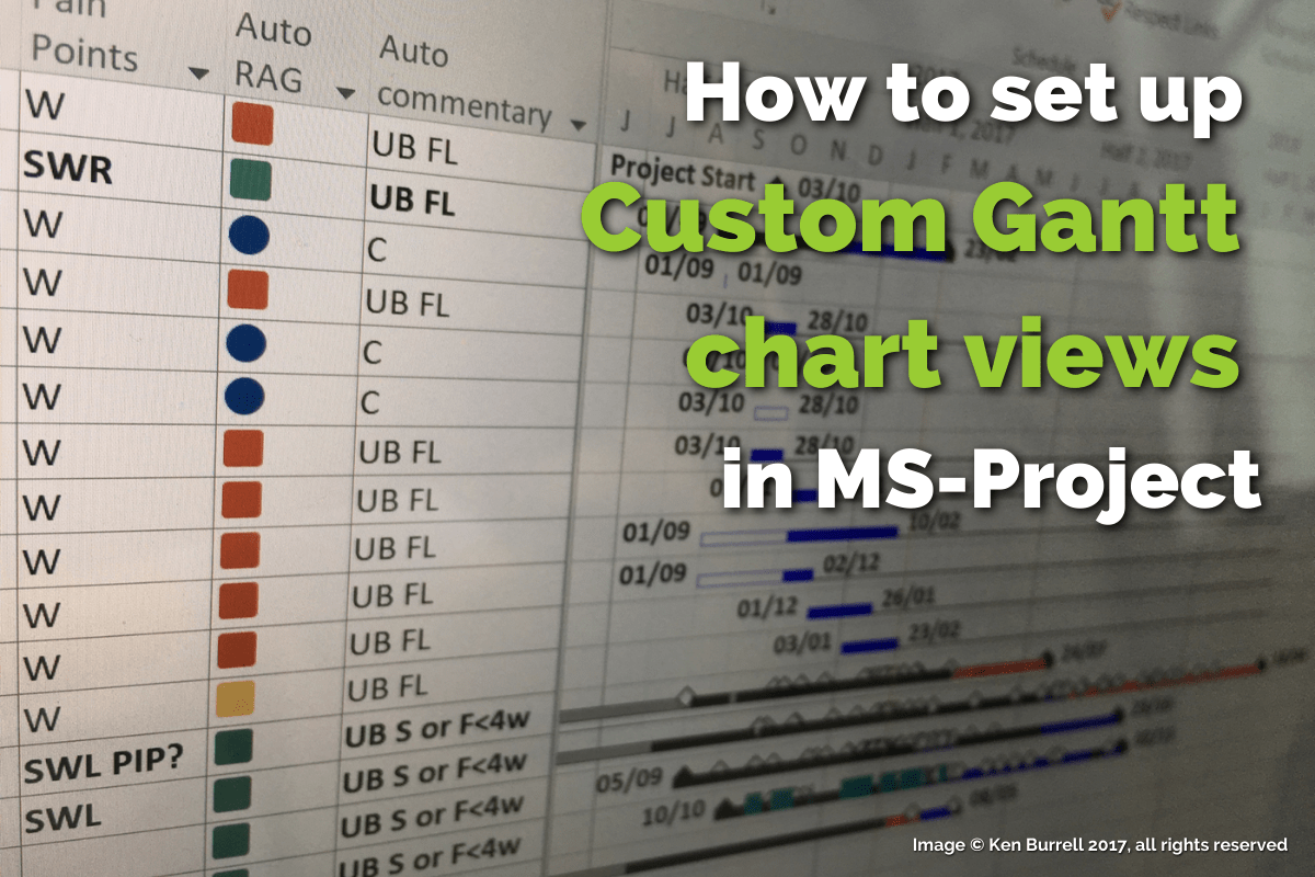 How to set up Custom Gantt chart views in MS-Project